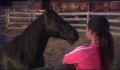 dr dolittle 3-avi_1000_003.jpg